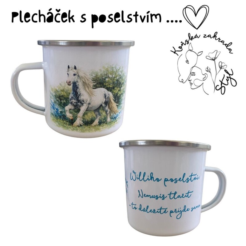 Plecháček s poselstvím Willi